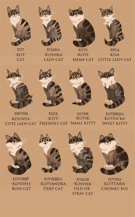 russian names for cats
